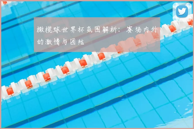 橄榄球世界杯氛围解析：赛场内外的激情与团结