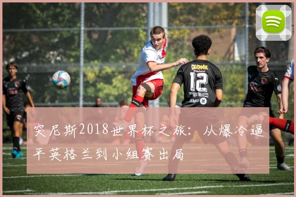 突尼斯2018世界杯之旅：从爆冷逼平英格兰到小组赛出局