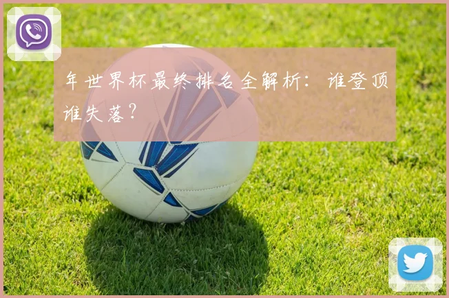 年世界杯最终排名全解析:谁登顶谁失落?