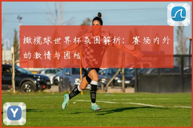 橄榄球世界杯氛围解析：赛场内外的激情与团结
