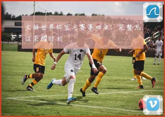 女排世界杯官方赛事回放：完整见证荣耀时刻